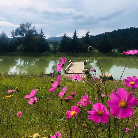 Cabanas Tapalpa Sierra Del Tecuan, Cabana Lince ภายนอก รูปภาพ