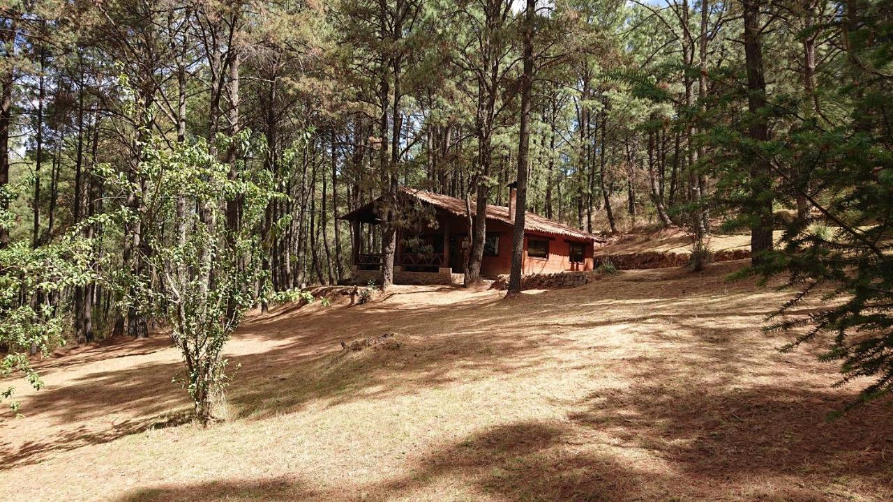 Cabanas Tapalpa Sierra Del Tecuan, Cabana Lince ภายนอก รูปภาพ